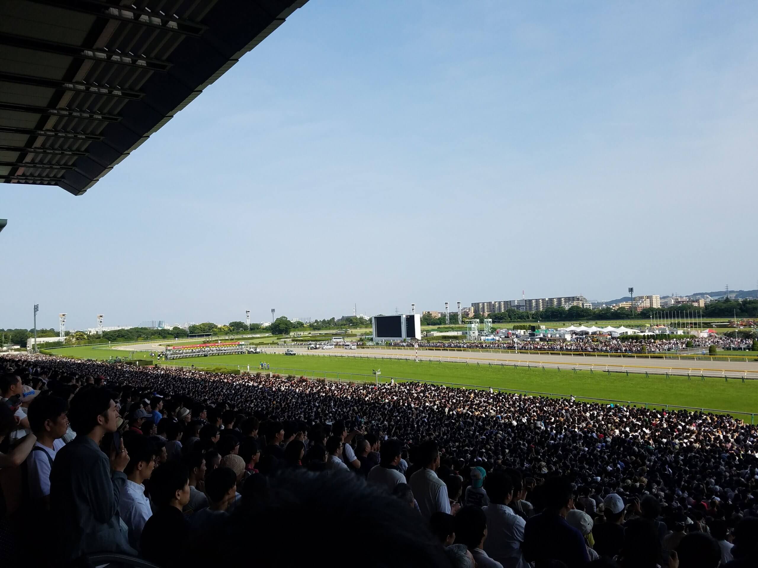東京優駿21 日本ダービーを予想する前に知っておきたい7つのこと ちゃんわ日誌